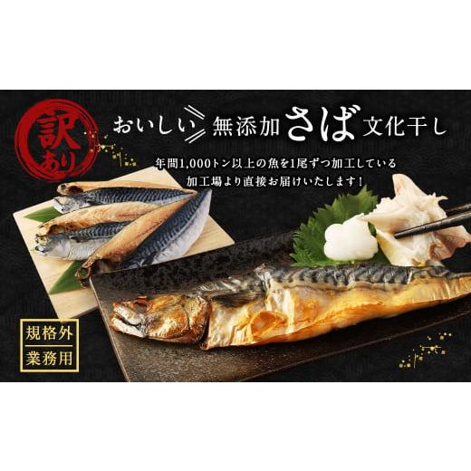 ふるさと納税 茨城県 神栖市  業務用 無添加さば文化干し 1.5kg 鯖 さば 干物 魚