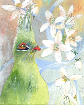 【筆記本】綠頭冠蕉鵑x澄花