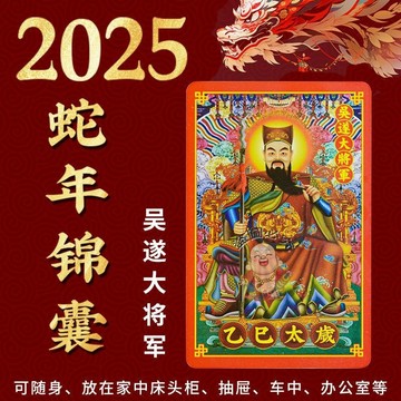 免運🔥2025 年蛇年本命年錦囊包護身符 虎猴豬龍平安化符 生肖屬蛇福袋吊飾 招財平安辟邪擋災 隨身護身符掛件開運小