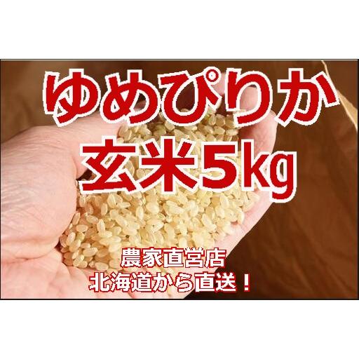 ゆめぴりか 5kg 送料無料 田んぼや 神田農園 北海道から直送