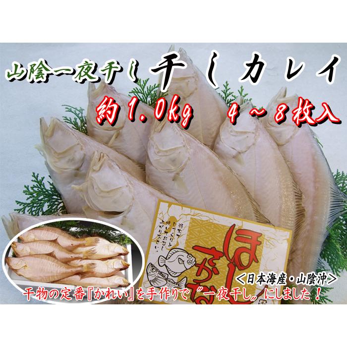 一夜干しカレイ 約1.0kg 4〜8枚＜日本海産・山陰沖＞