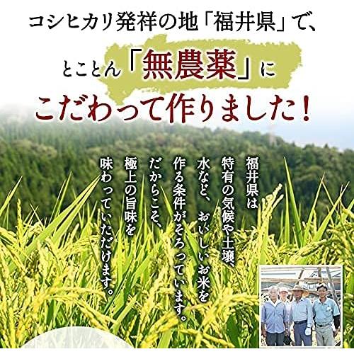 (玄米) 無農薬 玄米 米 5kg 無農薬 ミルキークイーン 「特選」 真空パック 令和5年福井県産 無農薬・無化学肥料栽培