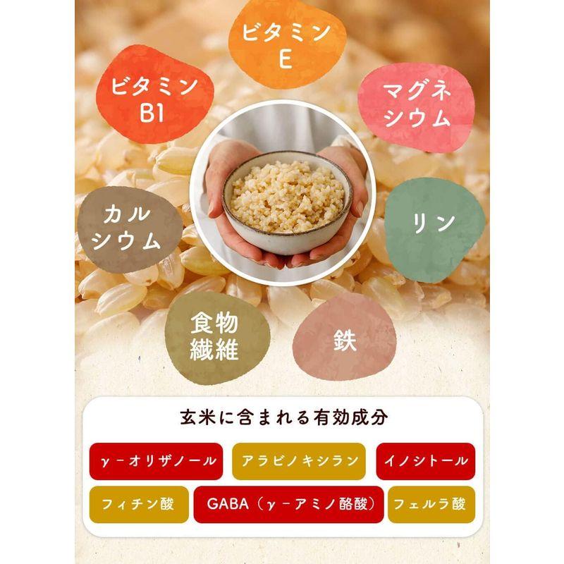 玄米ごはん レトルトエコパック 福井県産 無農薬・無化学肥料米使用 200g×10袋