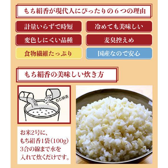 食物繊維 β(ベータ)グルカン 国産もち麦「もち絹香（もちきぬか）」(100g×14袋入)2袋セット 勅使川原精麦所