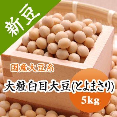 豆 大豆　とよまさり 北海道産 味噌 令和４年産 5kg