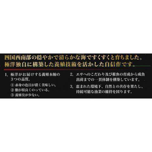 ふるさと納税 愛媛県 愛南町 養殖生本鮪大トロ・中トロ・赤身セット（約１ｋｇ） 発送期間: 1月10日〜12月20日