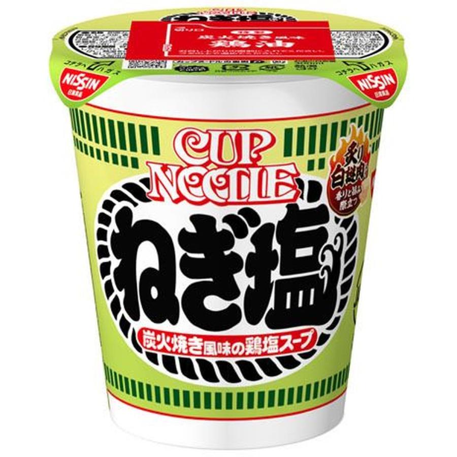 日清食品 カップヌードル ネギ塩 カップ 76g