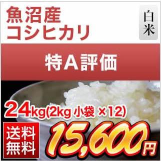 新米 令和5年(2023年)産  新潟県魚沼産 コシヒカリ〈特A評価〉24kg(2kg×12袋）