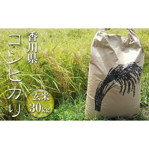 ふるさと納税 香川県 東かがわ市 [No.4631-8503]2022はなまる農園 令和5年 新米予約 香川県産「コシヒカリ（玄米）30kg」 令和5年1月配送