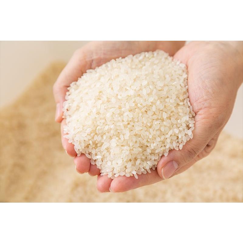 無農薬無肥料栽培米（白米）10kg