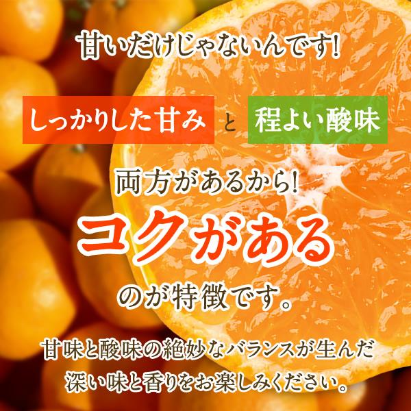 こつぶみかん 2kg (早生)甘味と酸味が調和したみかん (出荷:11月下旬-1月)