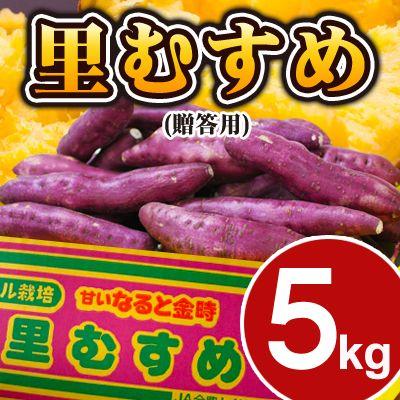 鳴門金時 さつまいも 里むすめ 5kg 徳島県産 里浦産 芋 サツマイモ さつま芋 薩摩芋 ＃なると金時里むすめ 5キロ＃