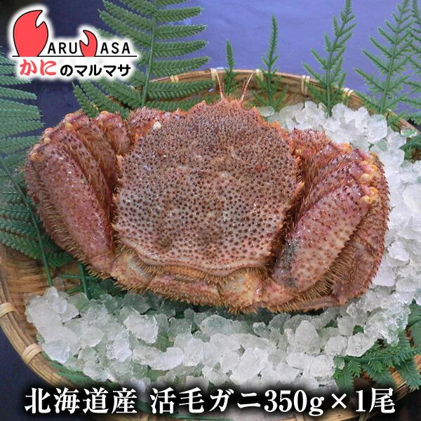 活毛がに 350g 1尾 北海道産 極上毛ガニ お歳暮 ギフト お土産 通販