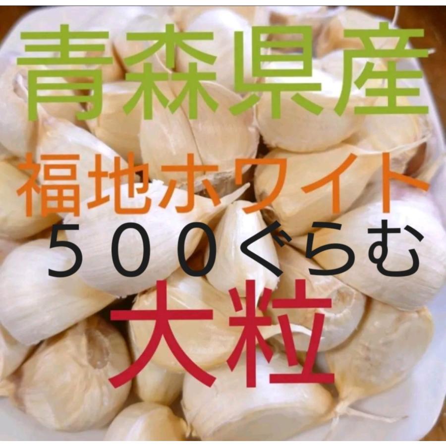 青森にんにく直売所　新物　品質保証　大粒　500g　青森県産ニンニク　福地ホワイト　ばら