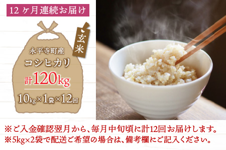  令和5年度産 永平寺町産 コシヒカリ 10kg×12ヶ月（計120kg） [K-033084]