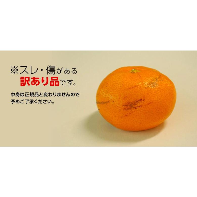 訳あり品 『西南のひかり』 香川県産 柑橘 約5kg S〜2Lサイズ ※常温 送料無料