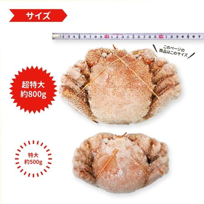 北海道産 ボイル 毛がに 超特大約800g 送料無料 海鮮 ギフト