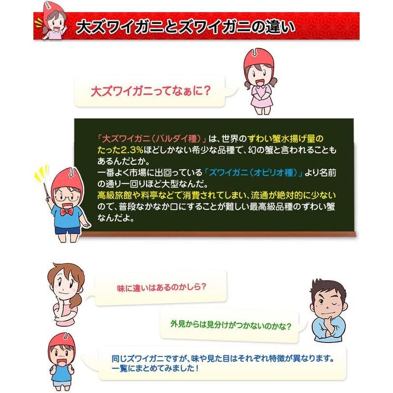 笑顔の食卓 匠｜ボイル ズワイガニ｜最高級バルダイ種特大7Lボイル大ずわい半むき身満足セット1kg超