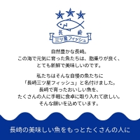 海鮮丼のたれ付！海鮮三昧贅沢3色丼セット 100g×3パック