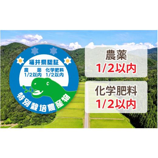 ふるさと納税 福井県 あわら市 《定期便6回》特別栽培米 コシヒカリ 5kg × 6回 （計30kg） 無洗米 低農薬 ／ 福井県 あわら市 ブランド米 白米 …