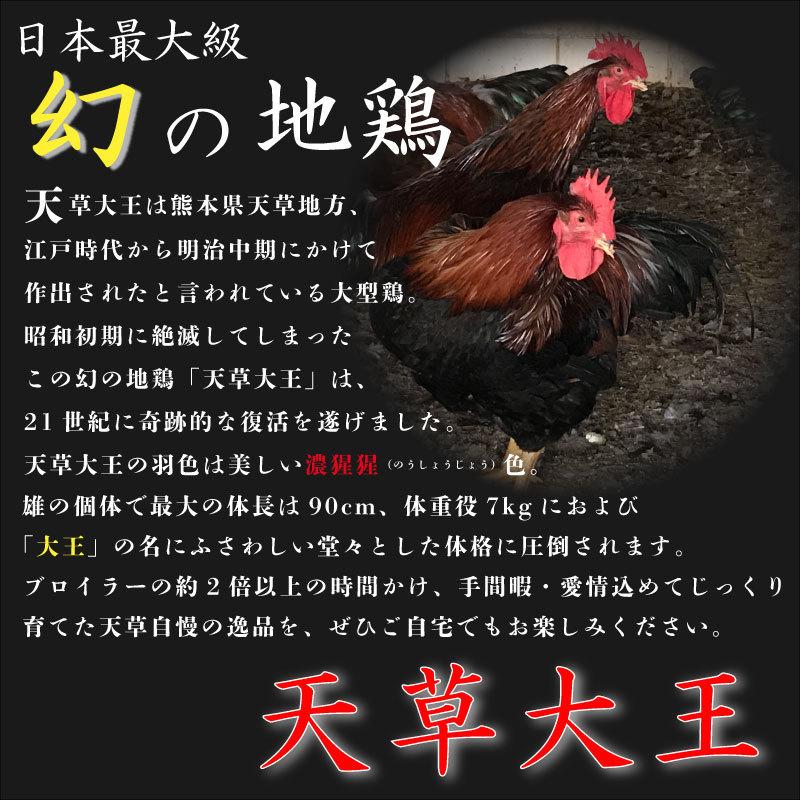 天草大王 一羽丸ごと セット 贈答用 産地直送 グルメ 地鶏 熊本県産 鶏肉 モモ肉 ムネ肉 ササミ 手羽先 手羽元 レバー 砂ズリ 鶏鍋 畜産物 焼肉