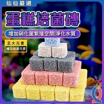 培菌魔方 蛋糕濾材 硝化菌 魚缸過濾 培菌磚 淨水濾材 滴流盒 上部過濾 濾材推薦 遠紅外線 負離子 培菌球 水族濾材