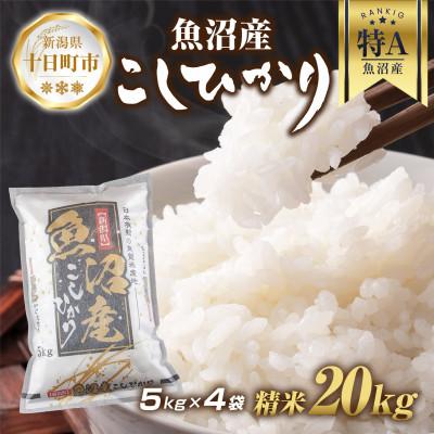 ふるさと納税 十日町市 魚沼産 コシヒカリ 5kg×4袋 計20kg(お米の美味しい炊き方ガイド付き)