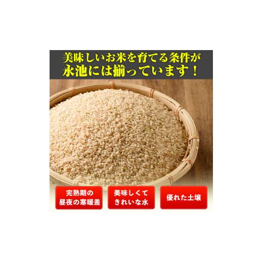 ふるさと納税 鹿児島県 伊佐市 isa400 令和5年産 新米 特別栽培米 永池ひのひかり玄米(5kg) 