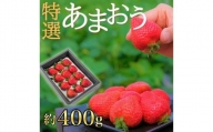 特選あまおう　400ｇ