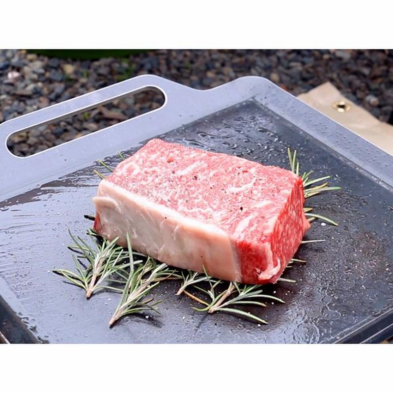 SOTO ソト 2バーナー ST-527 対応 極厚バーベキュー鉄板 グリル