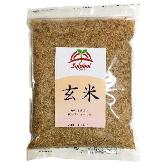 特別栽培米 玄米 800g まっしぐら 米 青森