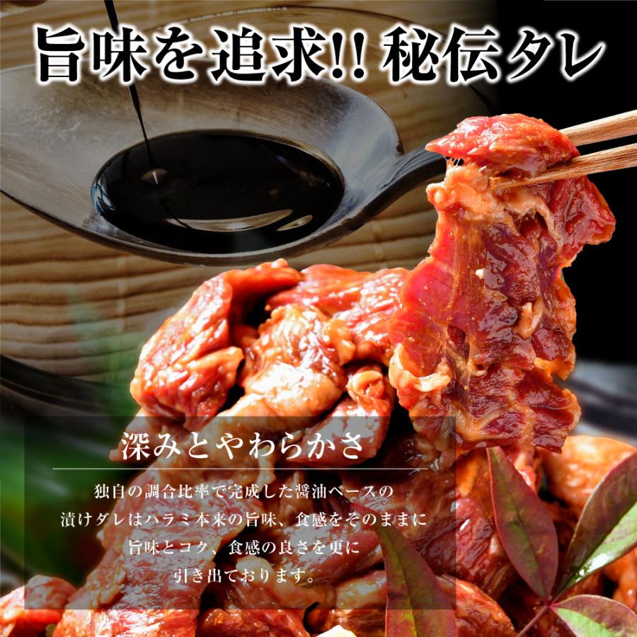 焼肉 セット 肉 牛肉 柔らか ハラミ タレ漬け メガ盛り 1kg 冷凍 食品 BBQ バーベキュー お取り寄せ グルメ