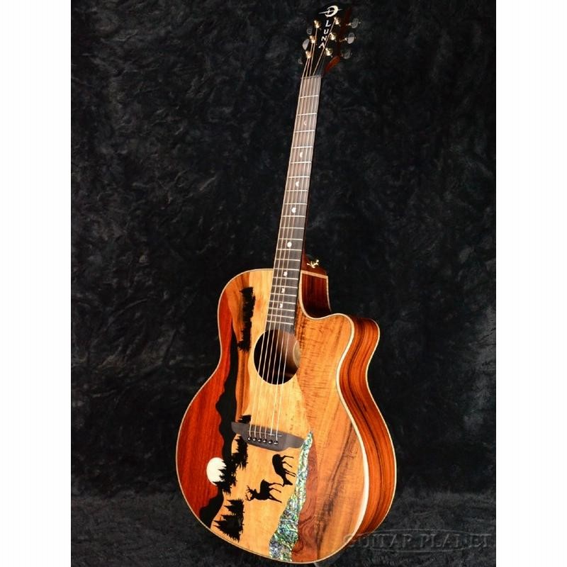 Tokai tf120 アコギ　ジャンク Tokai tf120 アコギ ジャンク