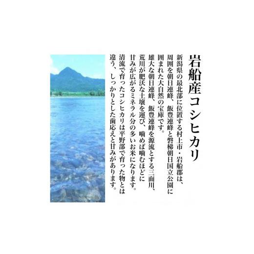 ふるさと納税 新潟県 新潟県岩船産コシヒカリ そのまんま真空パック 900ｇ×6袋