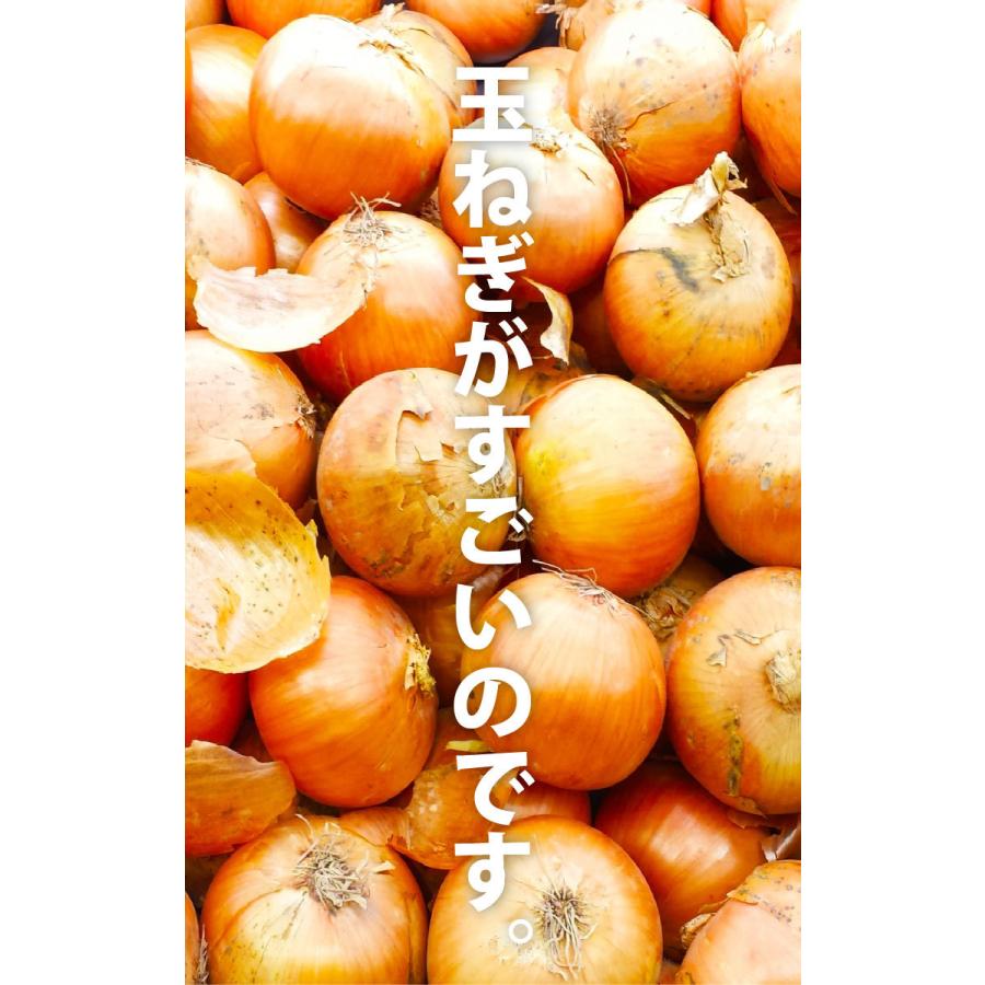 淡路島のビーフオニオンカレー180g辛口 2食分メール便送料無料 期間限定お試し価格