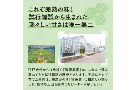 斎藤農園のアールスメロン(マスクメロン)4玉 6kg程度≪先行予約2024年6月下旬以降発送分≫