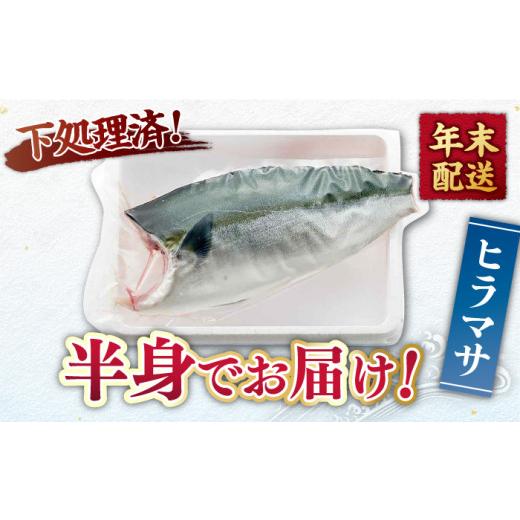 ふるさと納税 長崎県 平戸市 ヒラマサ（半身） 平戸なつ香 ヒラス 約1kg 平戸市 ／ 坂野…