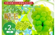 岡山県産シャインマスカット 「晴王」 秀品　（特大サイズ2房・約2kg）（令和６年8月中旬以降発送）