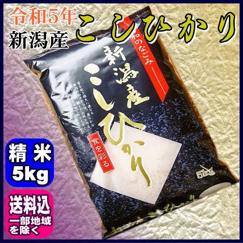 令和5年 新潟県産 こしひかり 白米 5kg