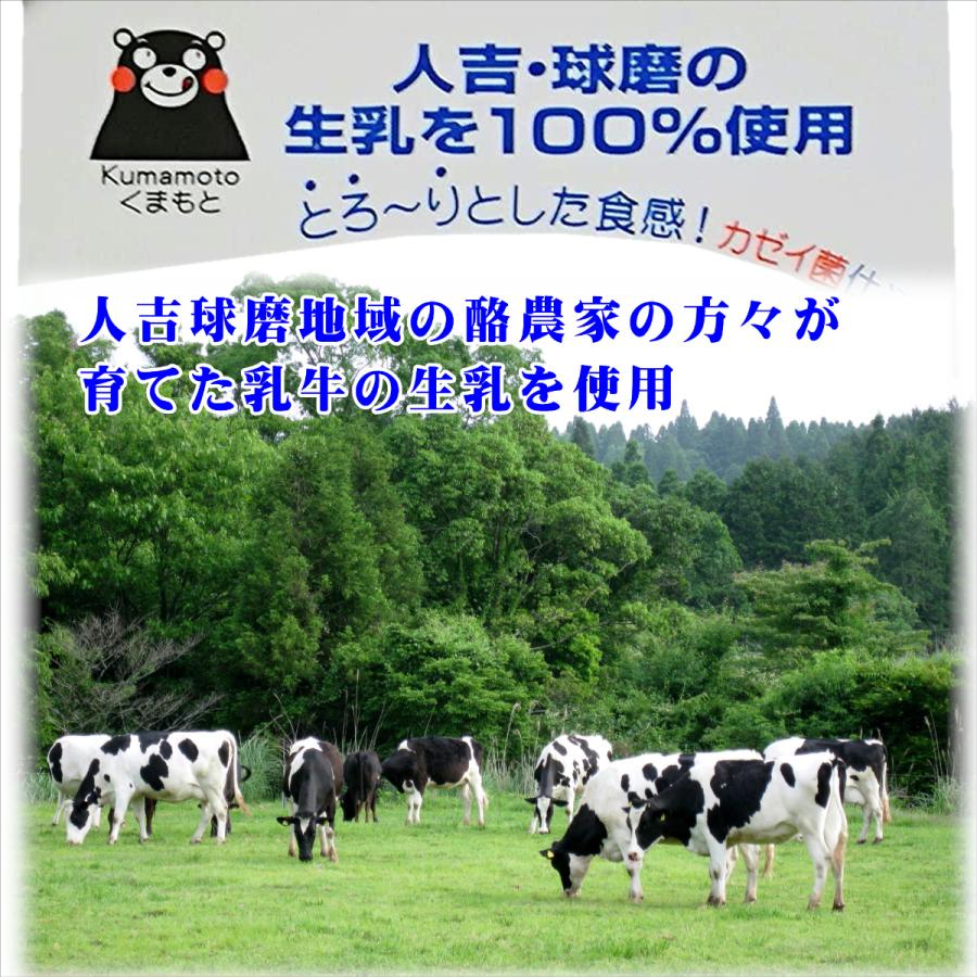 球磨酪農　球磨の恵ヨーグルト無糖　１ｋ×４個　送料無料　無糖ヨーグルト　人吉　人吉球磨　砂糖不使用