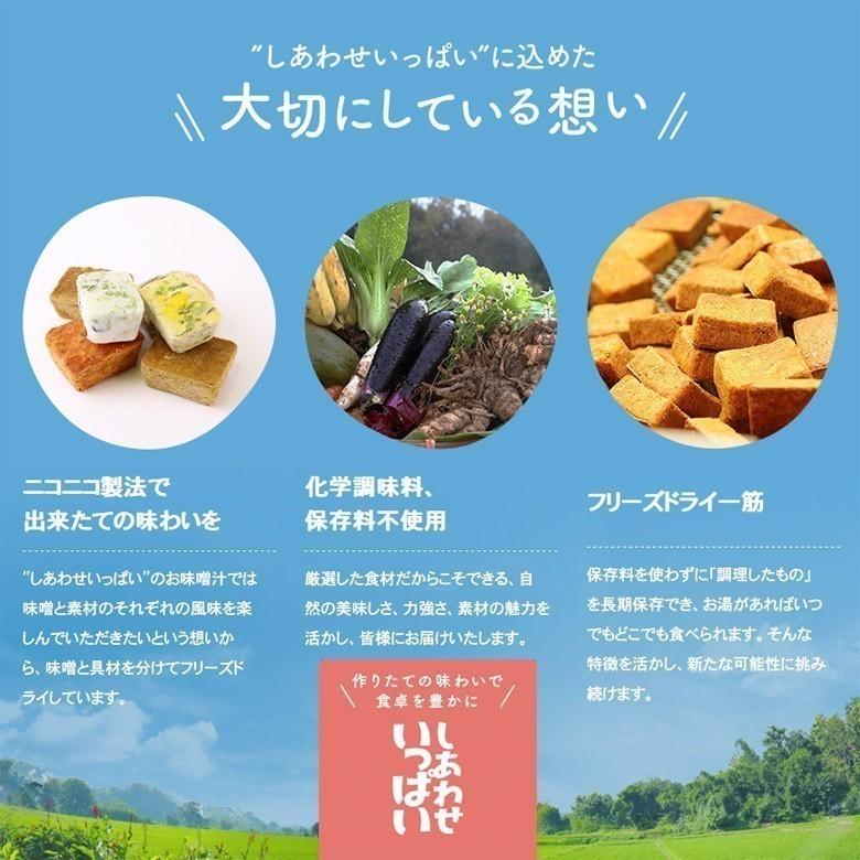 フリーズドライ ふんわりたまご味噌汁(10食入り) 高級 お味噌汁 みそ汁 卵 玉子 コスモス食品 インスタント メール便 送料無料