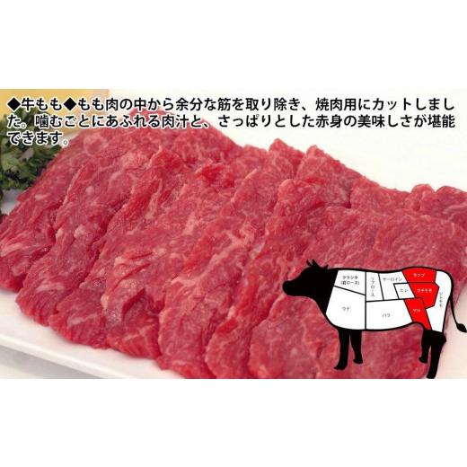 ふるさと納税 高知県 高知市 プレミアム焼肉セット約2kg 土佐和牛 牛肉 豚肉 肉詰め合わせ