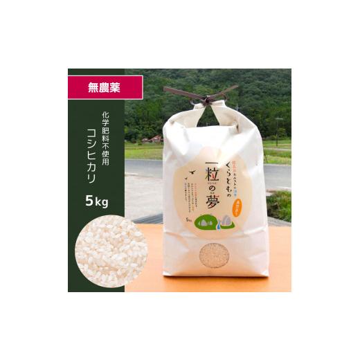 ふるさと納税 山口県 美祢市 無農薬・化学肥料不使用 コシヒカリ 5kg