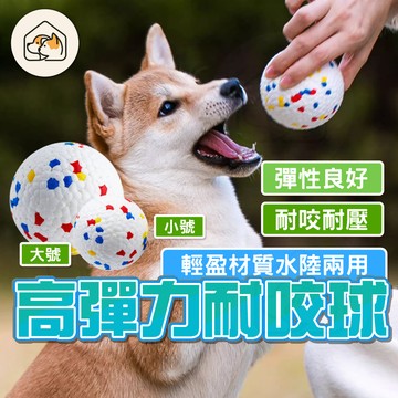 【超耐咬👍】狗狗玩具球 寵物玩具球 狗玩具 寵物球 耐咬磨牙玩具 寵物耐咬玩具 狗耐咬玩具 玩具球 狗玩具球