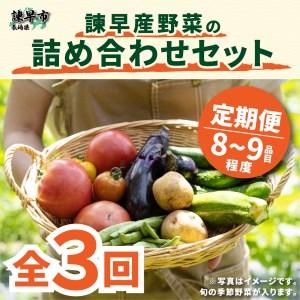 ふるさと納税 『定期便』_諫早産野菜の詰め合わせ(8〜9品目程度)_全3回 長崎県諫早市