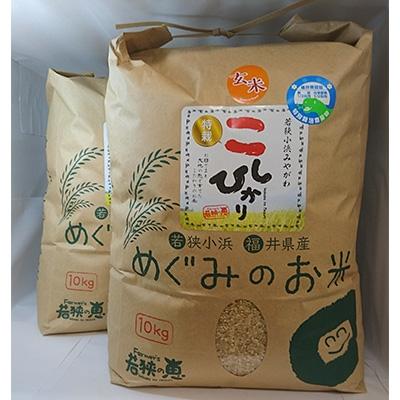 ふるさと納税 小浜市 令和5年　福井県産特別栽培米コシヒカリ　玄米10kg×2