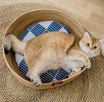 藤編貓窩四季通用網紅寵物用品貓咪幼貓床貓屋夏天墊子可拆洗夏季【林之舍】