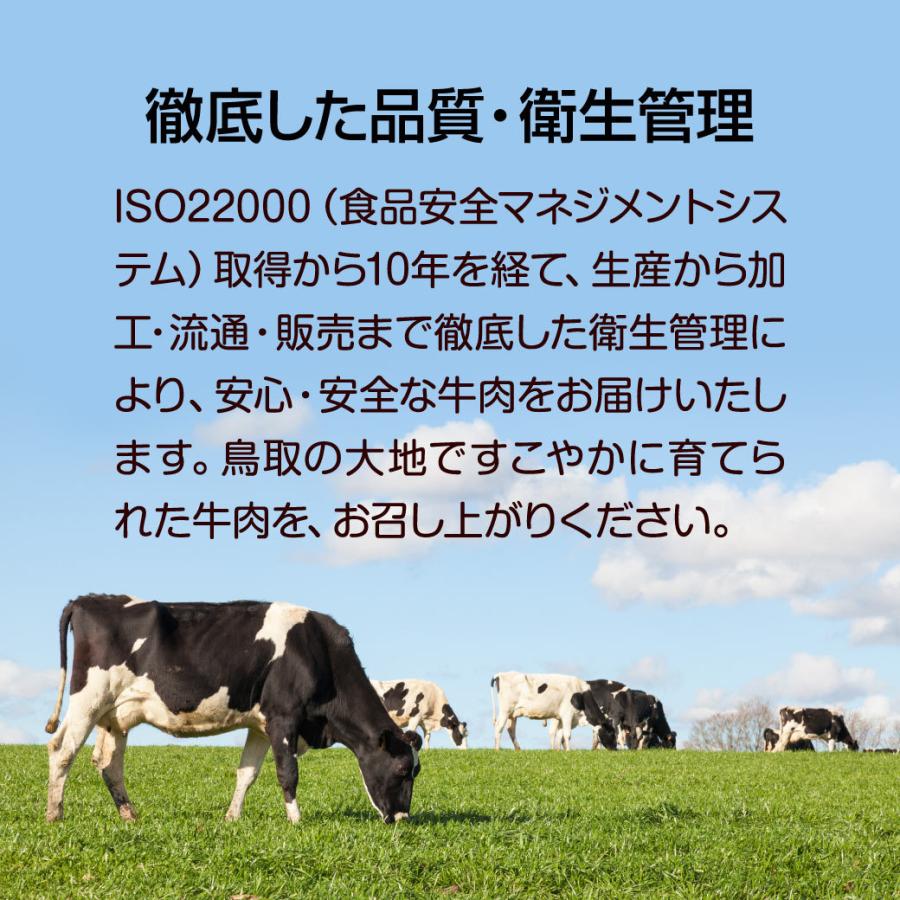 牛丼 豚丼 とり丼 丼の素 セット 9個入 牛肉 豚肉 鶏肉 鳥取牛 惣菜 国産牛 鳥取県産 ギフト 送料無料（北海道・沖縄を除く）