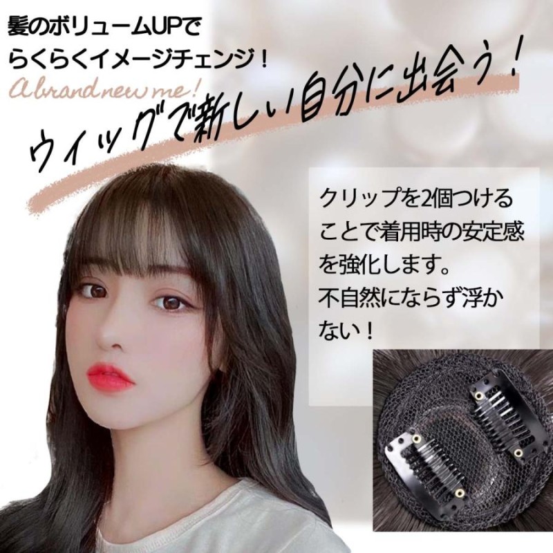 つけ毛 ウィッグ ナチュラルブラック ヘアアレンジ エクステ 韓国