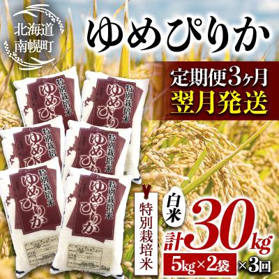 ふるさと納税 南幌町 北海道産 特別栽培米 ゆめぴりか 白米 10kg 翌月発送開始 南幌町 特A